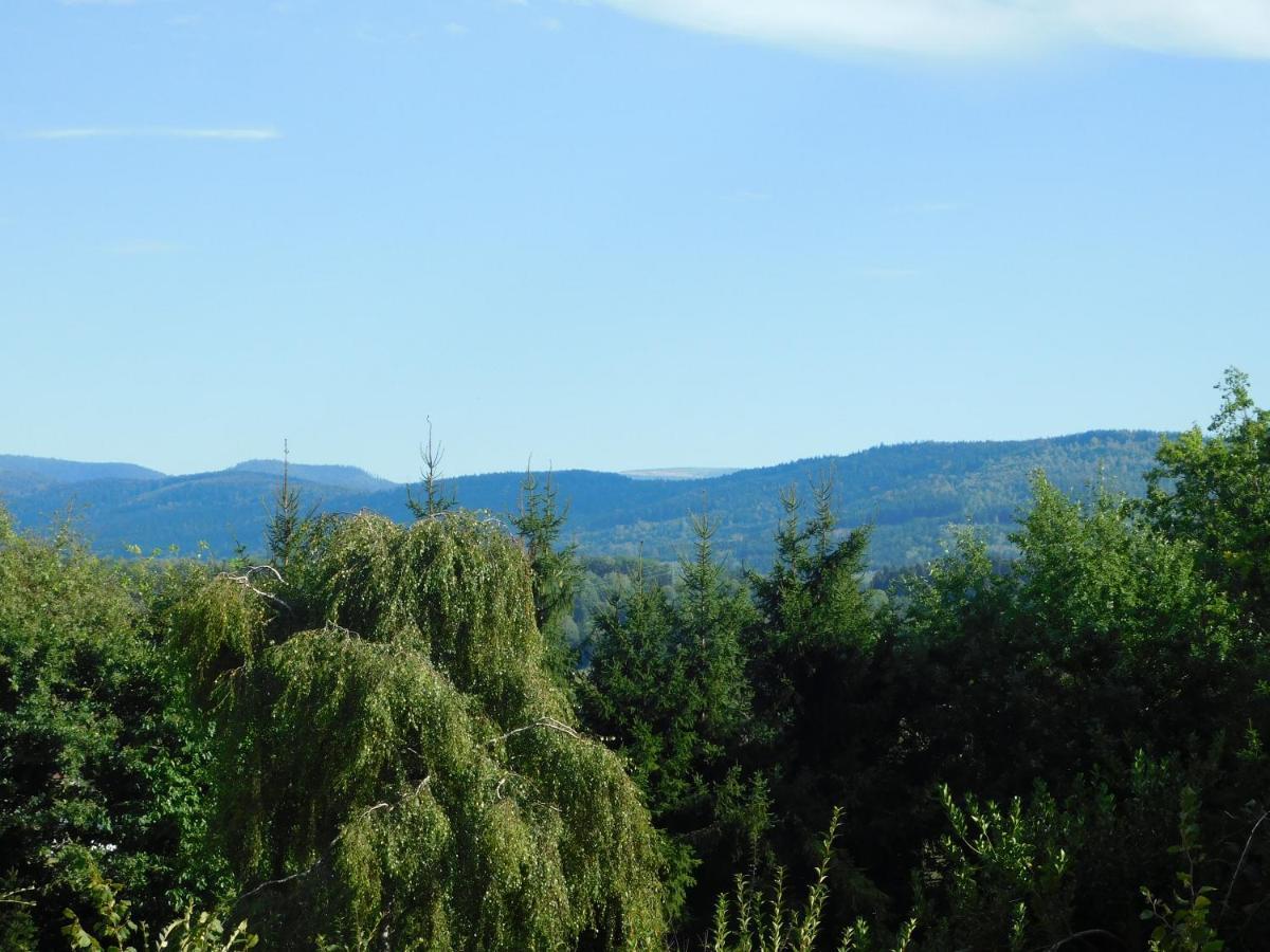 L'Amandaure Bed & Breakfast Saulcy-sur-Meurthe Екстериор снимка