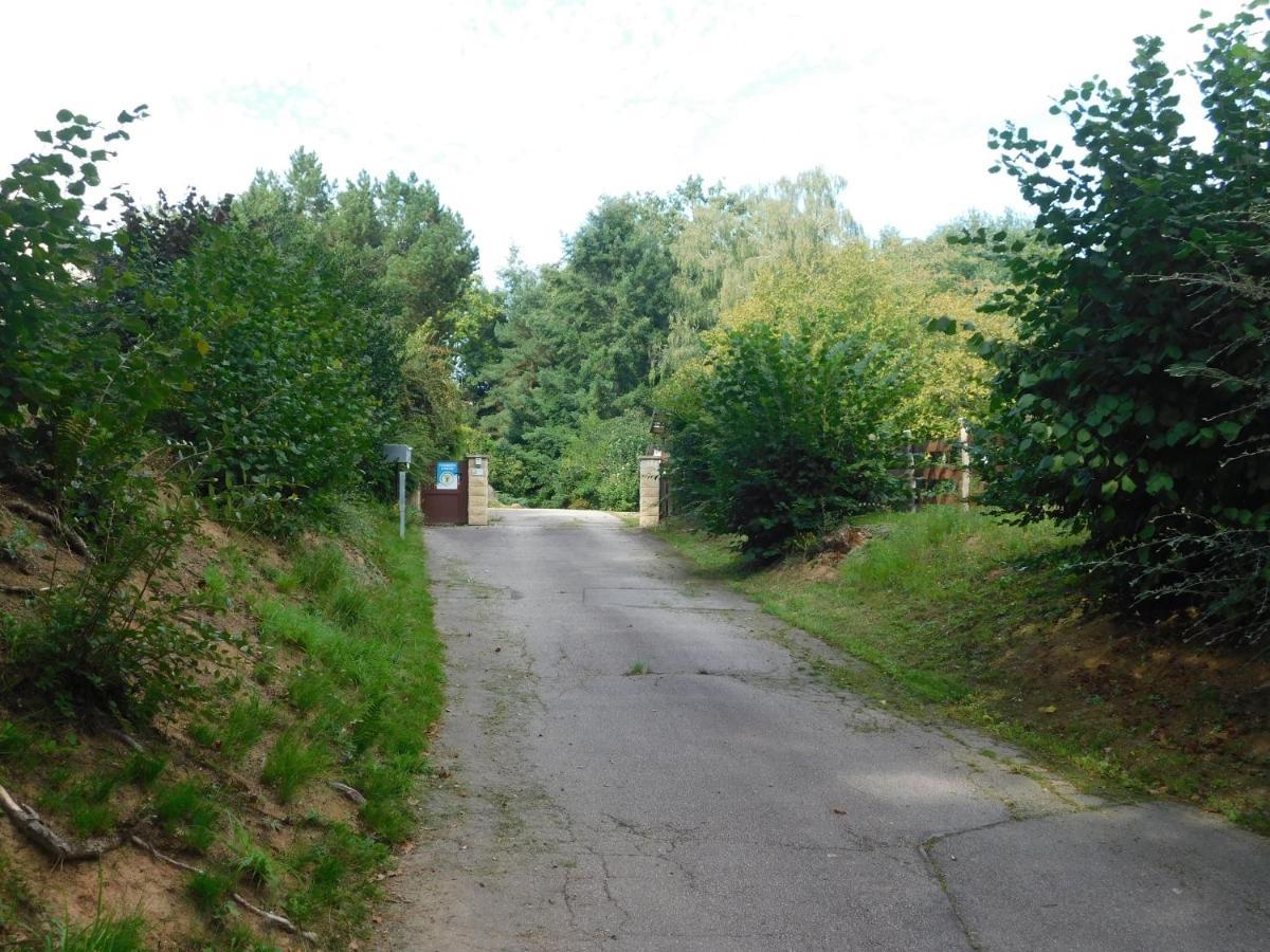 L'Amandaure Bed & Breakfast Saulcy-sur-Meurthe Екстериор снимка